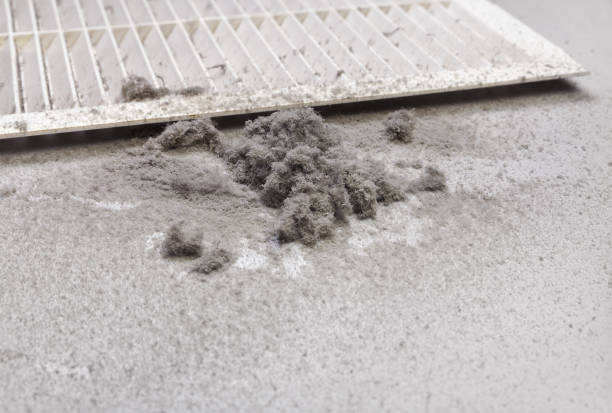 Best Air Duct Cleaning Near Me  in Line Acres, MO