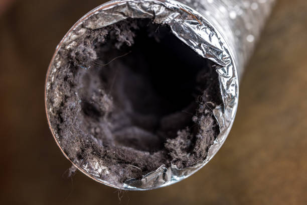 Best Air Duct Cleaning Near Me  in Line Acres, MO