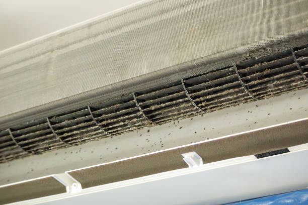 Best Best Air Duct Cleaning Company  in Line Acres, MO